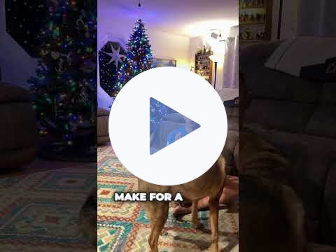 Breath work to manage stress during the holiday season ￼