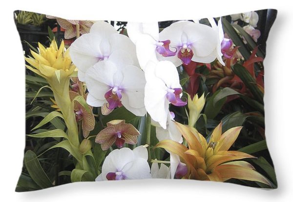 Colorful Orchids Throw Pillow