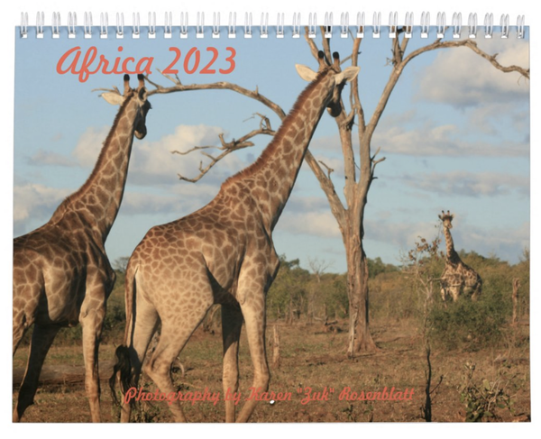 Africa 2023 Calendar