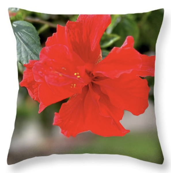 Hibiscus Star of the Garden Throw Pillow