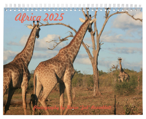 Africa 2025 Calendar