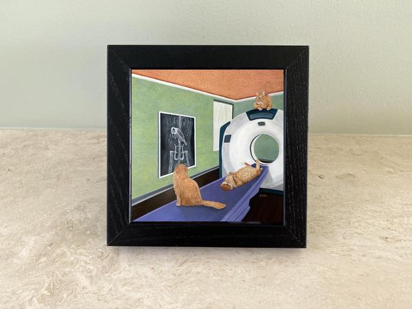 Cat Scan Framed Print