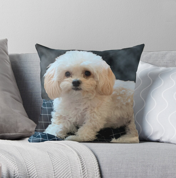 Maltipoo Dog Throw Pillow