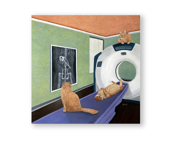 CAT Scan