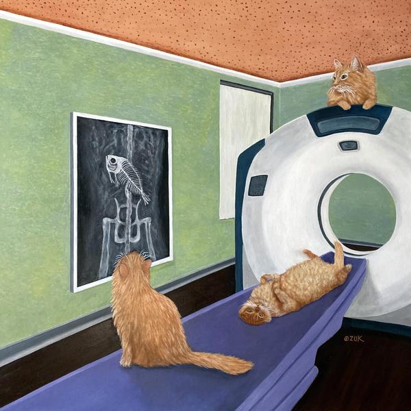 CAT Scan