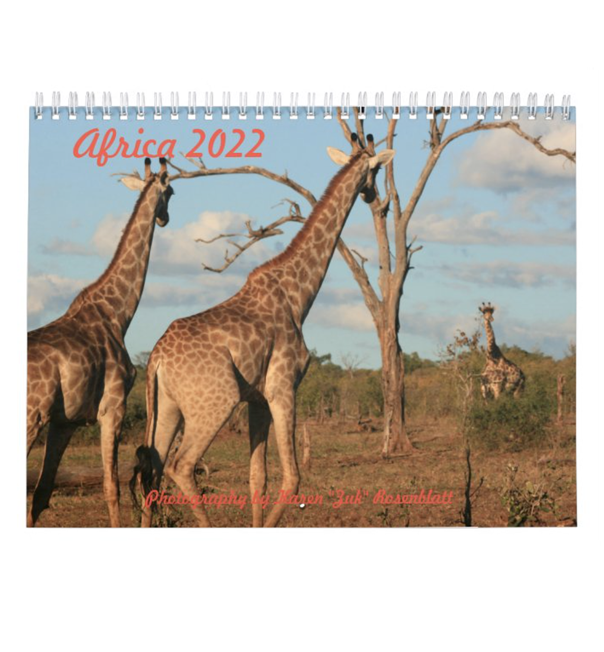 Africa 2022 Wall Calendar. Photography by Karen Zuk Rosenblatt.