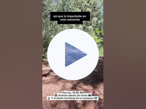 ¿Creaste tu rutina o tu rutina te está creando a ti?
