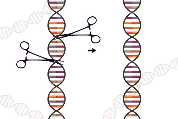 The Genome Editing Scandal Everyone is Talking About - The He Jiankui affair