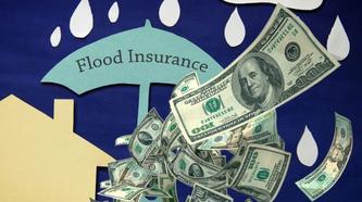 Flood Insurance News