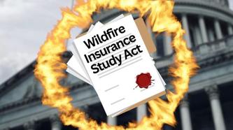 Wildfire insurance news