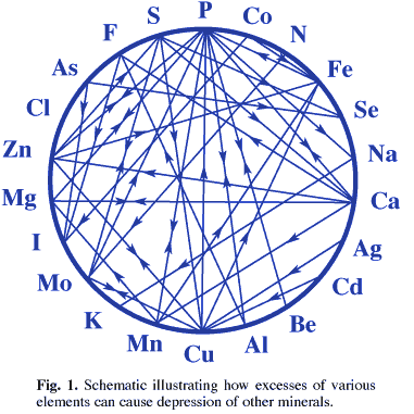 Chart, radar chart
            
            Description automatically generated