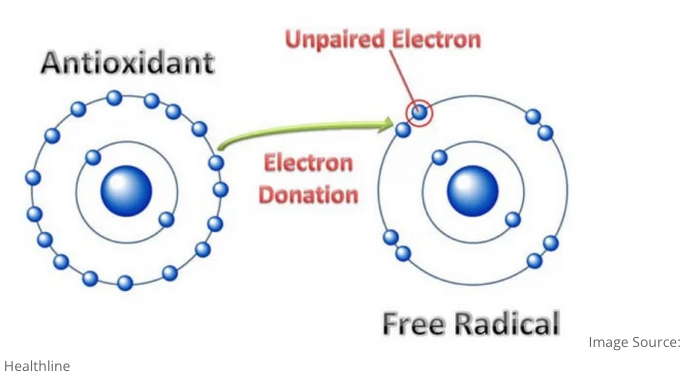 Diagram, schematic
Description automatically generated