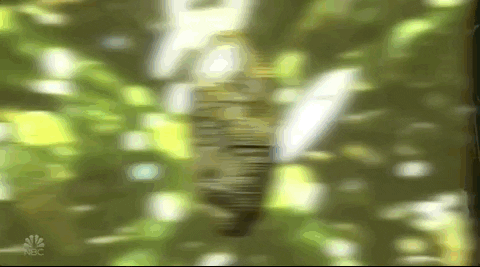 Jason Sudeikis Snl GIF By Saturday Night Live