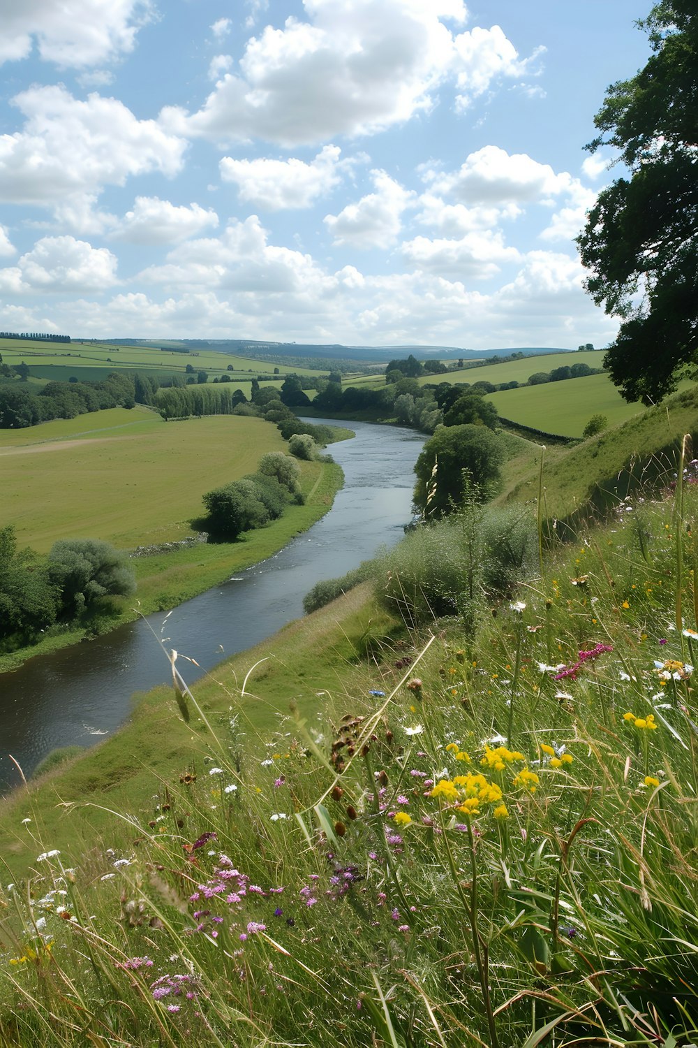 A gentle river winding through green fields toward the horizon under a bright sky