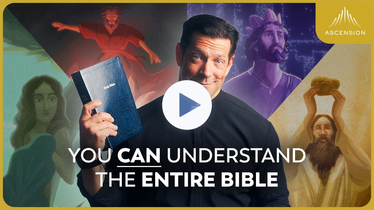 The Bible in 10 Minutes (feat. Fr. Mike Schmitz)