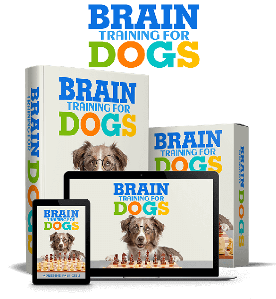Get Brain Training for Dogs