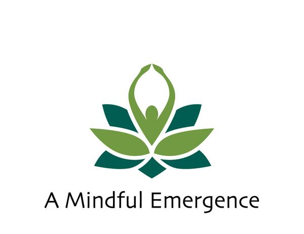 A Mindful Emergence, LLC