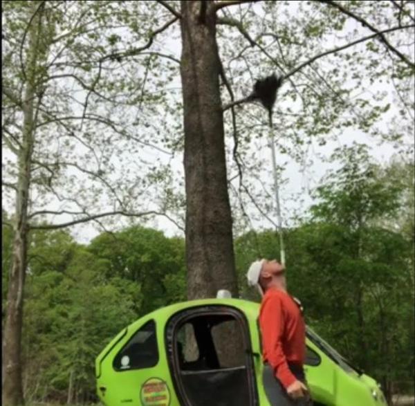 Juggling Therapy Health Avenues