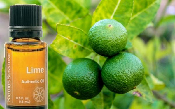 Lime Essential Oil
