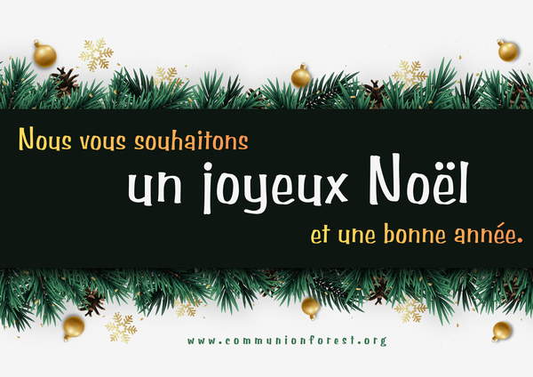 The launch of the Communion Forest. Image: 