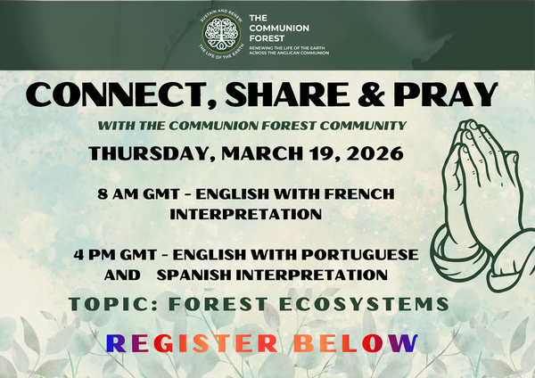 The launch of the Communion Forest. Image: 