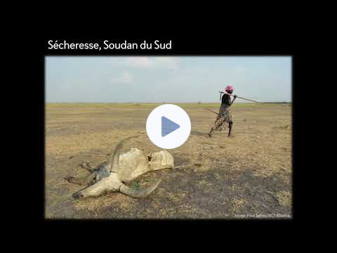 Les Eaux Turbulentes
