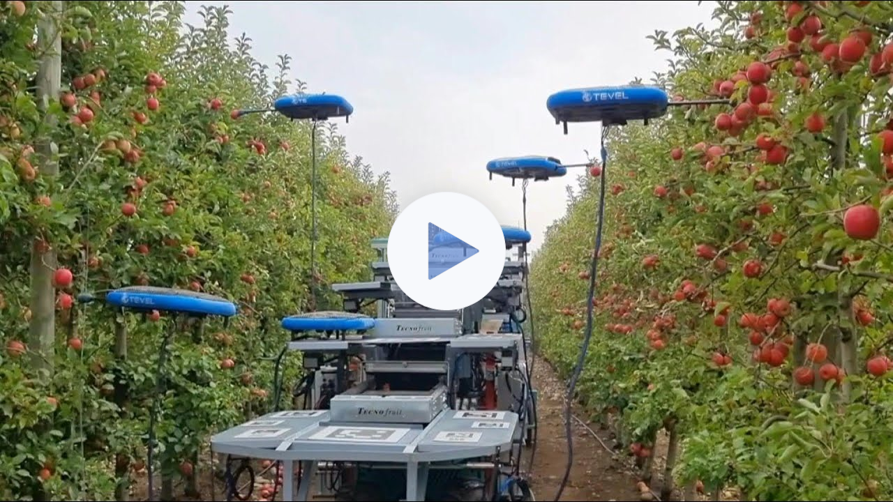 Israel enlists drones, AI and big data to farm for the future | AFP