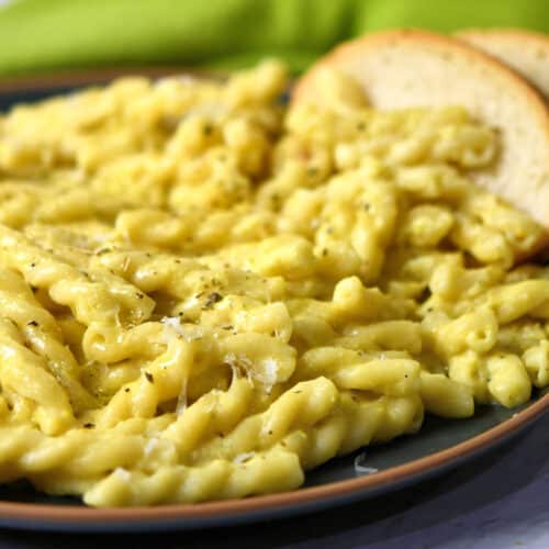 Summer Squash Alfredo Pasta