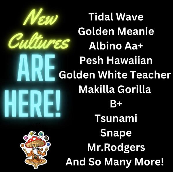 AWeber Communications