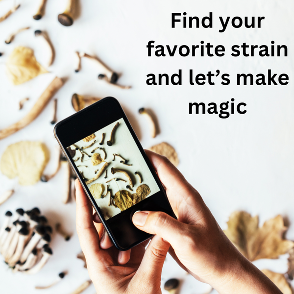 fullsend organicks mycology 