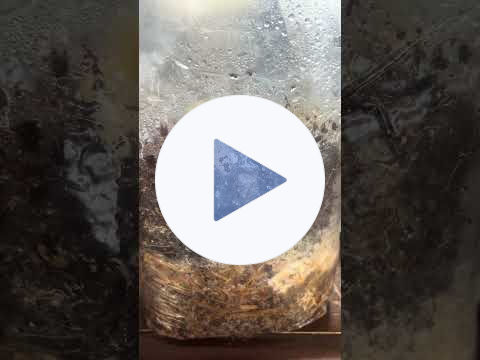 This Was Forgotten for Months - Here's What Happened