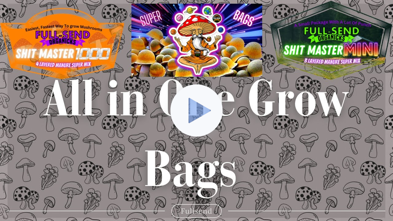 How I Grow Lion's Mane, Reishi & Blue Oyster in Supercharged Mushroom Bags