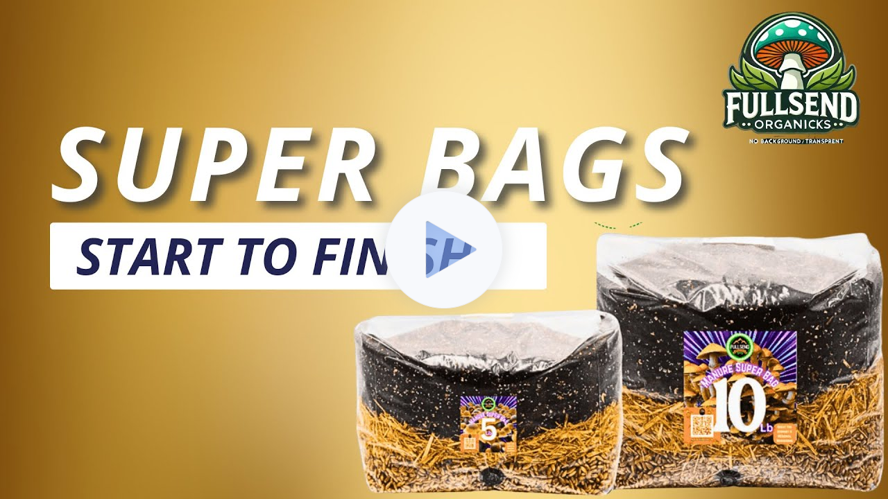 10LB Super Bags - The Easiest Way to Grow Mushrooms, No Mess, No Hassle!