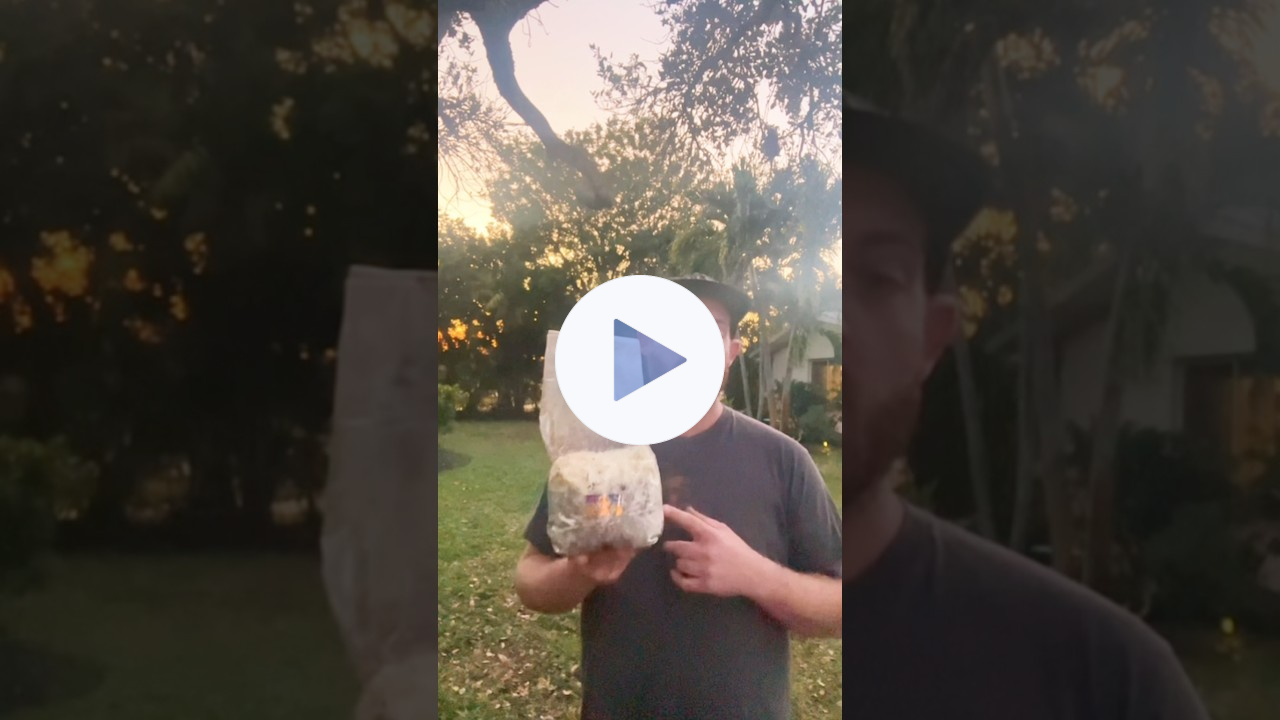 Closed-Loop Gardening: The Simple Way to Grow Sustainably!