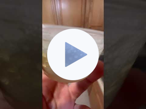 Why Mycelium Never Grows the Same Way Twice