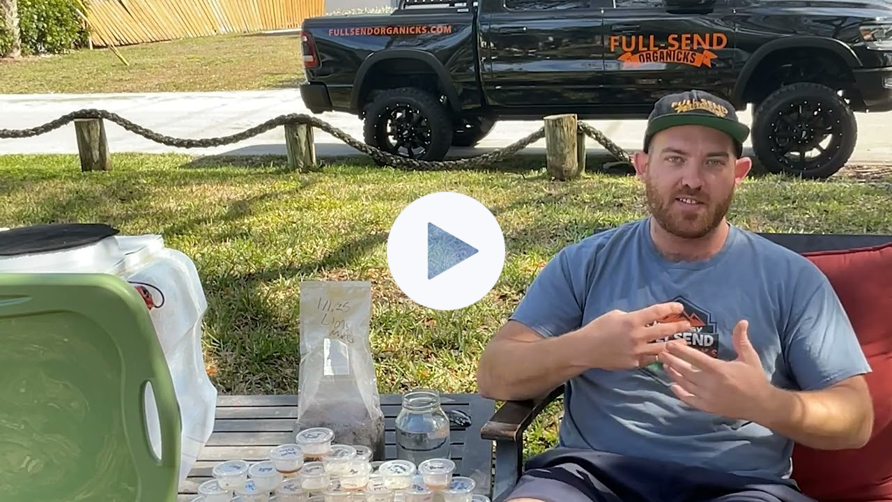 Fullsend Organicks: Innovation in the Mushroom Startup Space