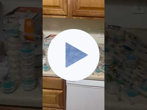 When Passion Takes Over Your house! Every Shelf Turned Into a Project!!