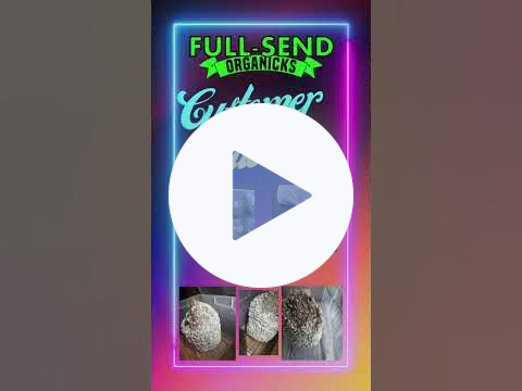 The Best Mushroom growing class! Get Growing