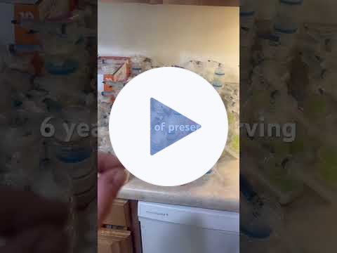 Year 6 since my passion took over my entire house