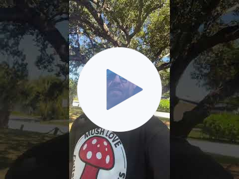 No fillers! No fluff! Just pure Mushroom power!