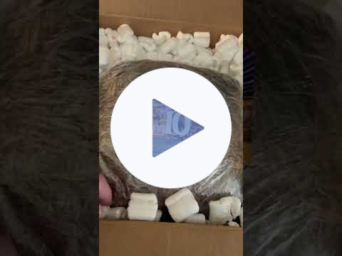 The Future of Packaging is Mycelium.