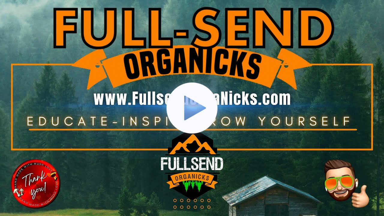 Grand Reopening video 