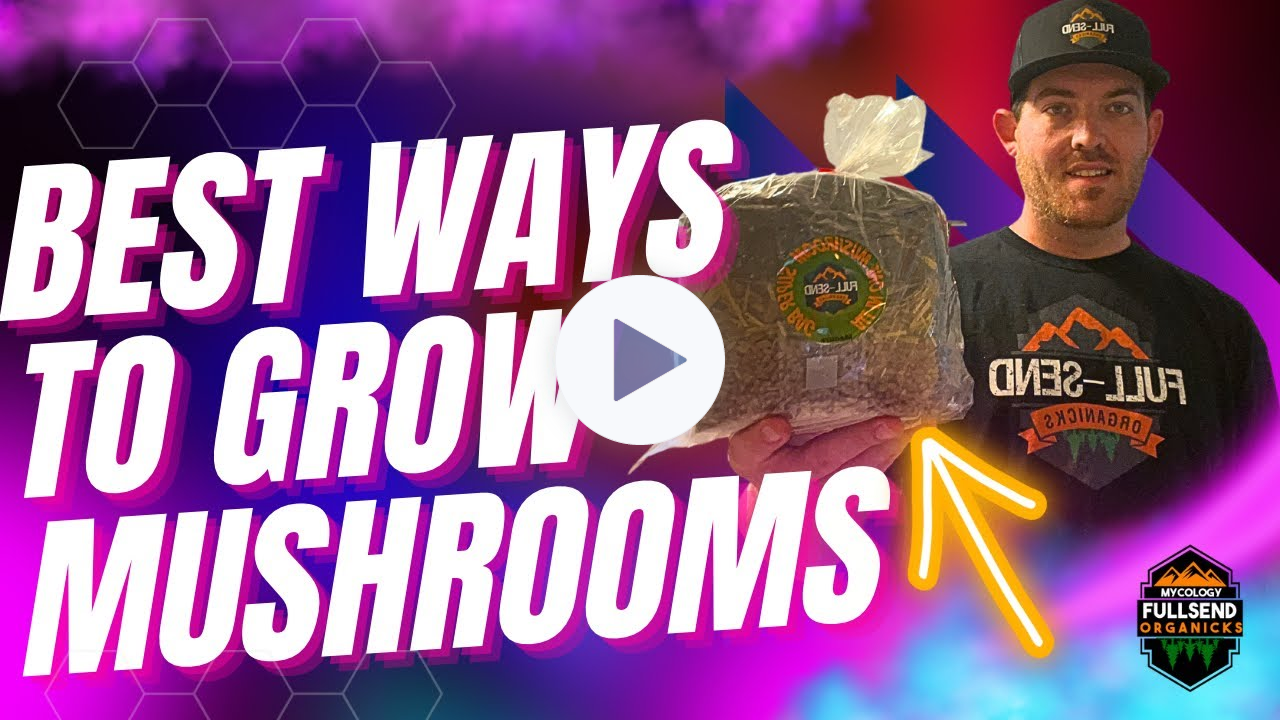 BEST way to grow Mushrooms in BAGS and TUBS at Home!!