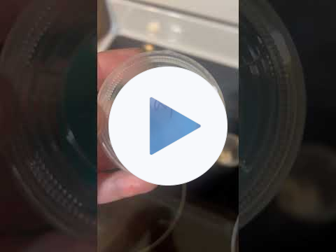 Don't Toss It-Myco Punch Your Way to Clean Cultures!