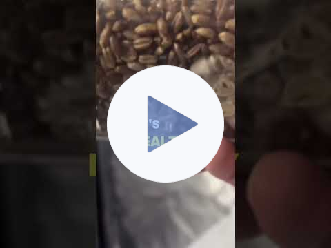 It Starts Outside: The Life Cycle of Fungi