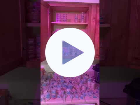 My Passion Has Taken Over My Kitchen