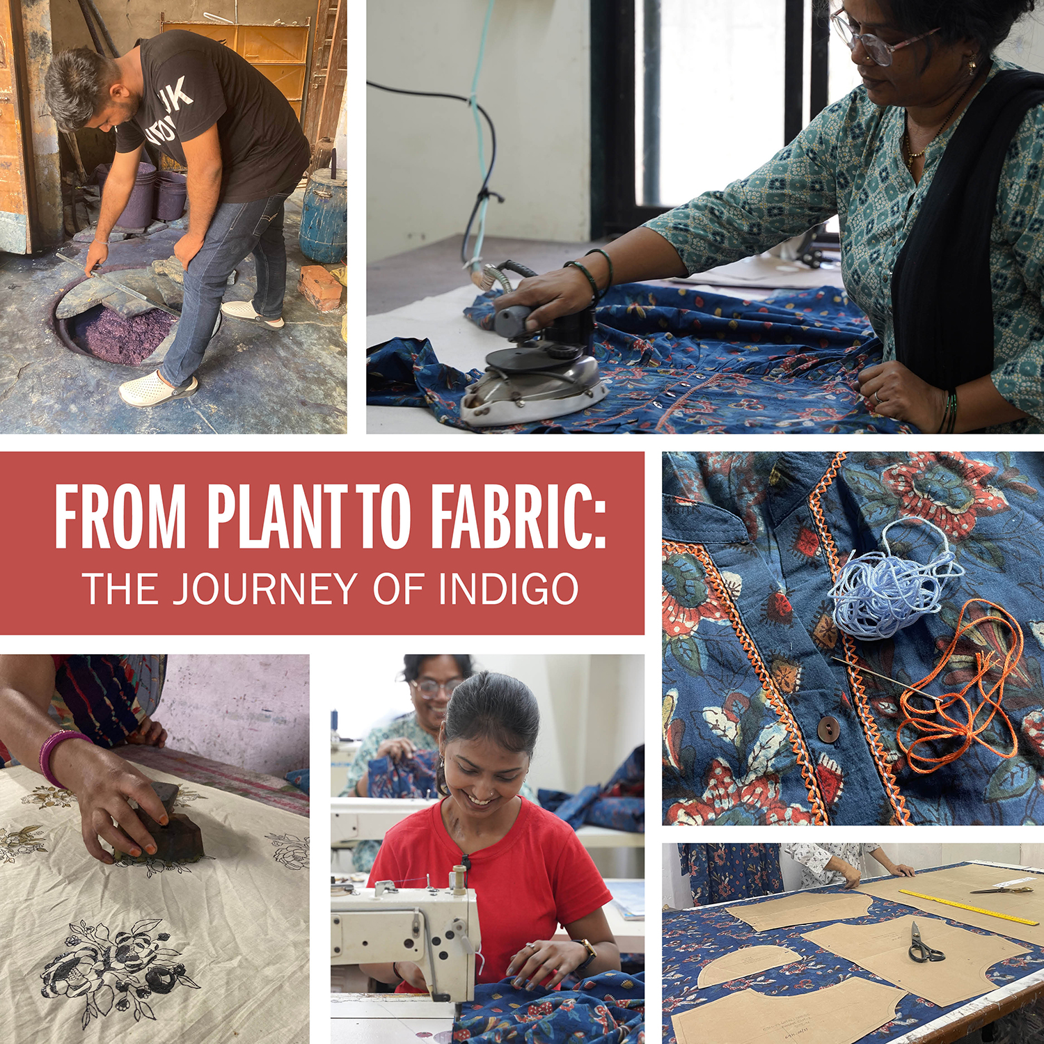 FROM PLANT TO FABRIC: THE JOURNEY OF INDIGO 