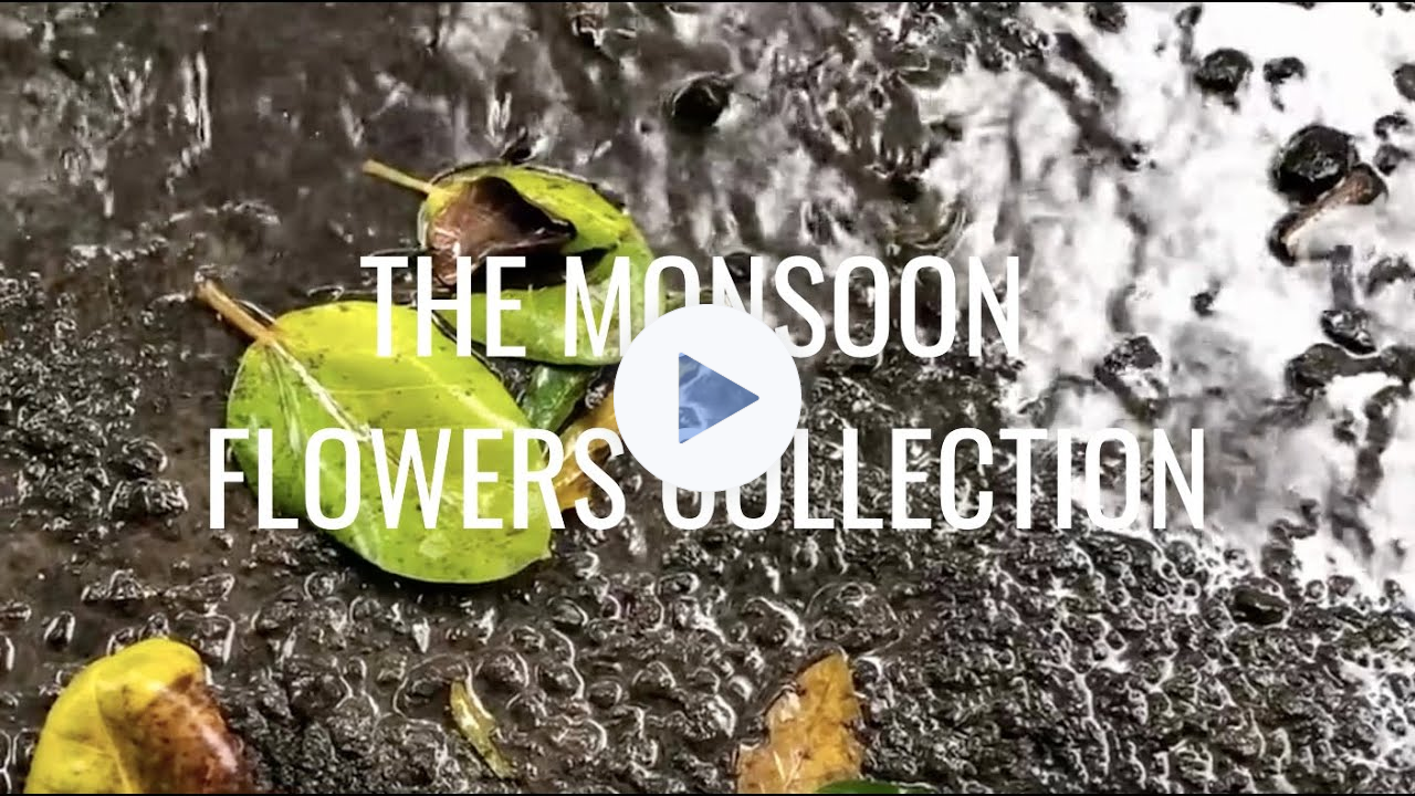 The Monsoon Flowers Collection
