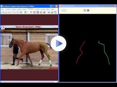 Equine Biomechanics - analysis & autotracking