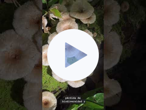 ¡Las playas son del pueblo y los bosques también!